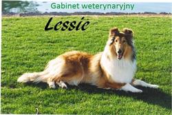 Gabinet Weterynaryjny Lessie. Grzegorz Stacharski