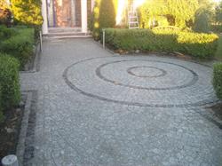 Rafex