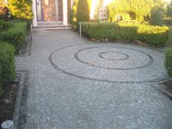 Rafex