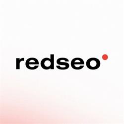 RedSEO Paweł Rabinek