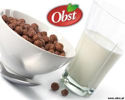 Obst S.A.