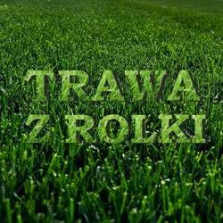 Trawa z Rolki Krzysztof Perz