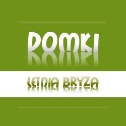 Domki letniskowe Letnia bryza