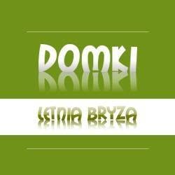 Domki letniskowe Letnia bryza