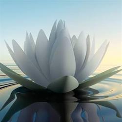 SUNpowerSPA