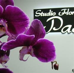 Studio Florystyczne "Pasja"