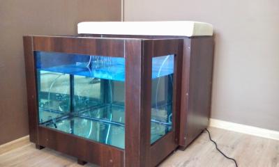 Fish-spa-Lódz