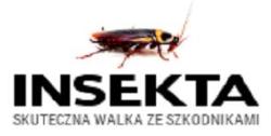 Insekta