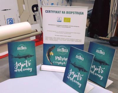 stojaki-pcv-roll-up