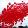 wypuszczanie 1000 balonów z siatki
