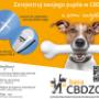 CBDZOE baza