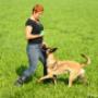 Trening