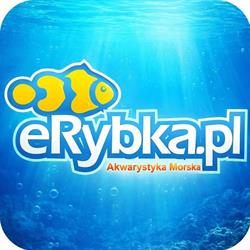 eRybka
