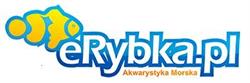 eRybka