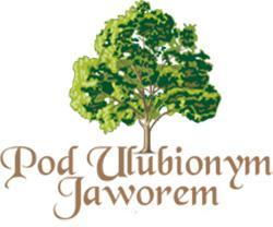 Dom weselny Pod Ulubionym Jaworem - sala weselna