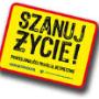 solidność i fachowość