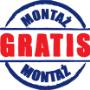 Montaż Gratis