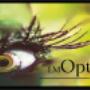 LM Optics