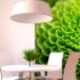 Decorshop