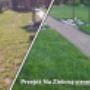 Zielona Strona Mocy