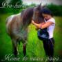 Pro-horse