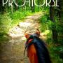 www.pro-horse.pl