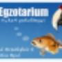 http://www.egzotarium.pl