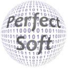 \"Perfectsoft\" Damian Kmiecik
