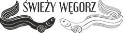 Świeży Węgorz