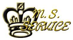 Max Solution Service