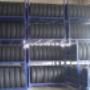 Wilex International