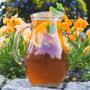 ICE-TEA naturalna