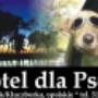 hotel dla psów14