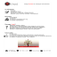 Oferta