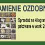 kamień ogrodowy2