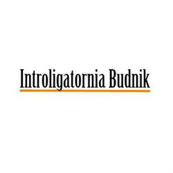 Introligatornia Budnik Artistic Gallery