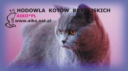 AIKO*PL