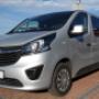 vivaro