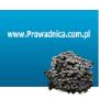 prowadnica.com.pl