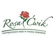 RosaĆwik Katarzyna Boras-Ćwik