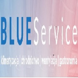 Blueservice Tomasz Wasilewski