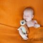 Dodane przez klienta firmy 17.02.2016 - fotografia dziecięca Toruń, fotografia niemowlęca, sesje zdjęciowe dzieci, fotografia rodzinna, fotografia noworodkowa, Jaś, studio fotografii dziecięcej Toruń