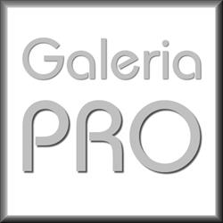 GALERIA PRO -OPRAWA OBRAZÓW-GALERIA SZTUKI rok zał.1995