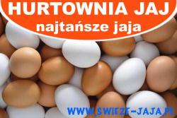 Hurtownia Jaj - Sprzedaż Jaj