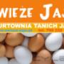 Dodane przez klienta firmy 28.05.2016
