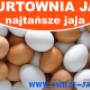 Dodane przez klienta firmy 28.05.2016