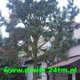 Dodane przez klienta firmy 28.05.2016