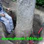 Dodane przez klienta firmy 28.05.2016