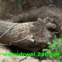 Dodane przez klienta firmy 28.05.2016