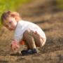 Dodane przez klienta firmy 11.06.2016